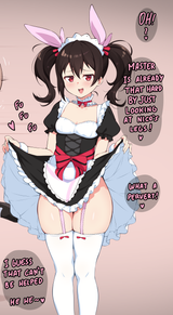 Nico 2