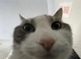 1724391099799