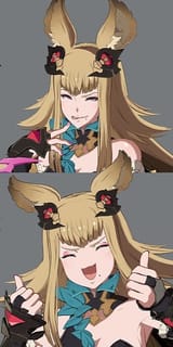 metera model