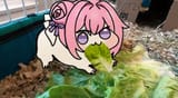 mysterious creature [sound=https%3A%2F%2Ffiles.catbox.moe%2Fremlhp.mp3]