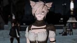 nerdcat