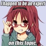 expert