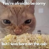 born on the cob
