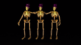 skeleton11