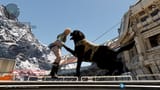 The First Descendant-2025_06_20-03-26-22