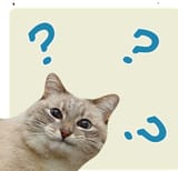 1622933355207