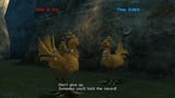 chocobo_catcher