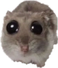 1745135517470732