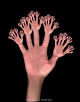 fractal_hands_c