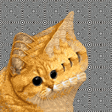 1368655465038