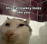 1730227951787