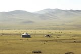 mongolian steppes