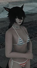 ffxiv_dx11_CjVVTOuxsg