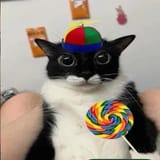 475112031_3962277710756932_8901412059675138018_n