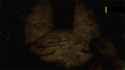 rats_thumb.jpg