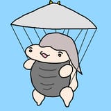 hongbukparachute