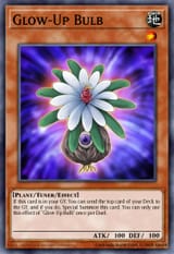 67441435