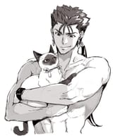 __cu_chulainn_archer_and_cu_chulainn_fate_and_1_more_drawn_by_shibanui__29ab970e88374dd3a7f46cb49e107763