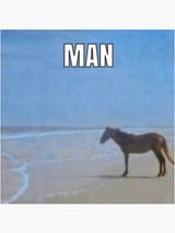 nonvomithorse