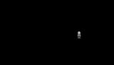 DISTANT GOAT