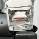 174949098582471354