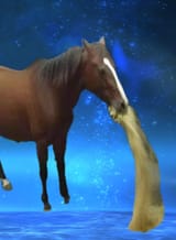 lodestone vomitting horse