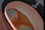 pantsu