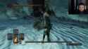 ds2_experience_thumb.jpg
