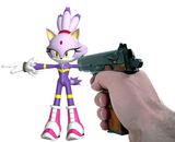 I will shoot this cat 2