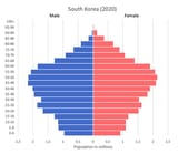 population-pyramid-of-South-Korea-1-3832552103
