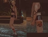 ffxiv_dx11_cuvXJLwq9V