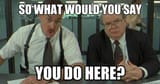 what would you say you do here