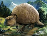 1001_glyptodon_pavel