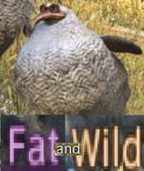 1707113772000113