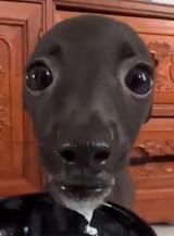20250425_162229