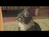 1702941777634536