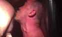 1738601121974_thumb.jpg