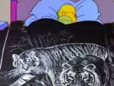cobija de tigres