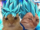 Our Heroes