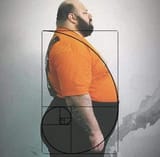 88040142382
