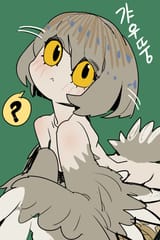 owl question