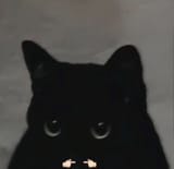 GZ247Q6XwAoWDLA
