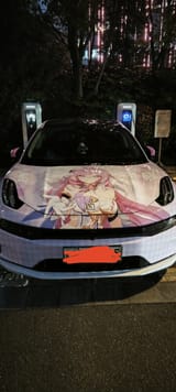 elysiacar