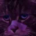 sad-cat-bladerunner_thumb.jpg