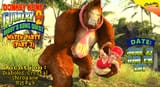 dkc2