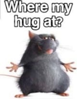where ma hugg ad