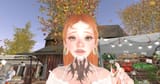 Snapshot_033