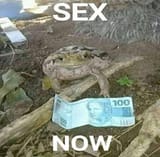 Sex now