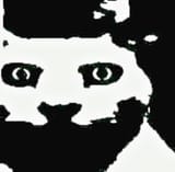 1728084375092804