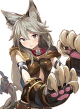 SEN